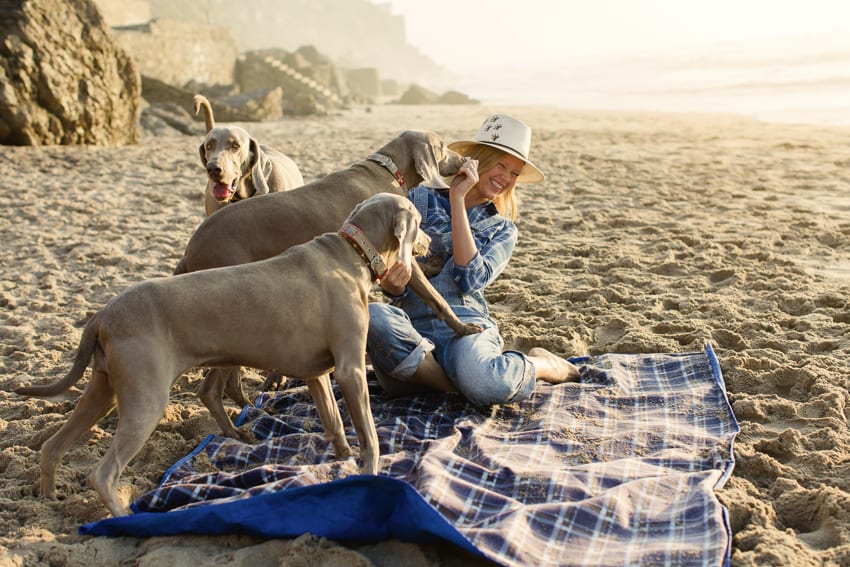 beach lifestyle with dogs