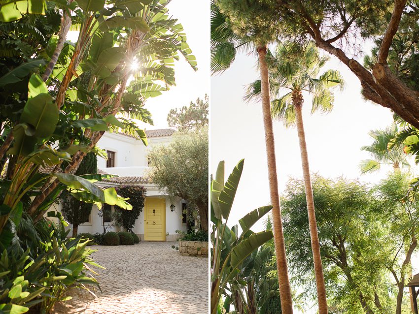 Algarve Villa, palm trees
