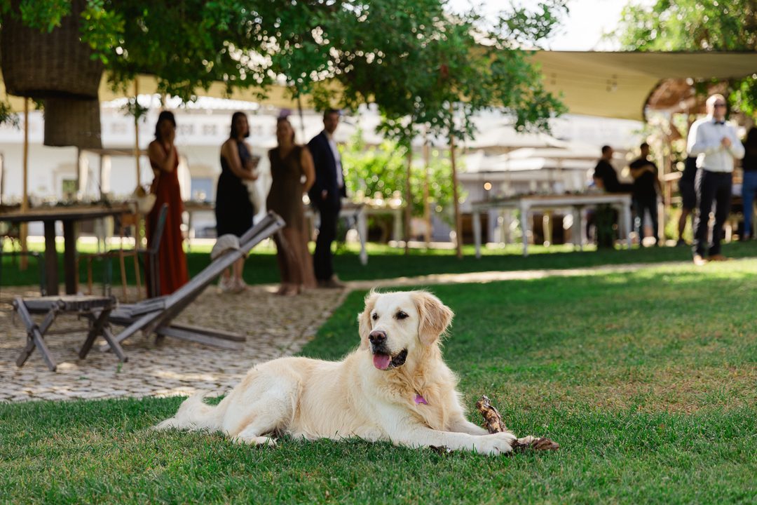 bridal make up, bridal prep, wedding morning, Algarve wedding photogrpahy, Portugal wedding