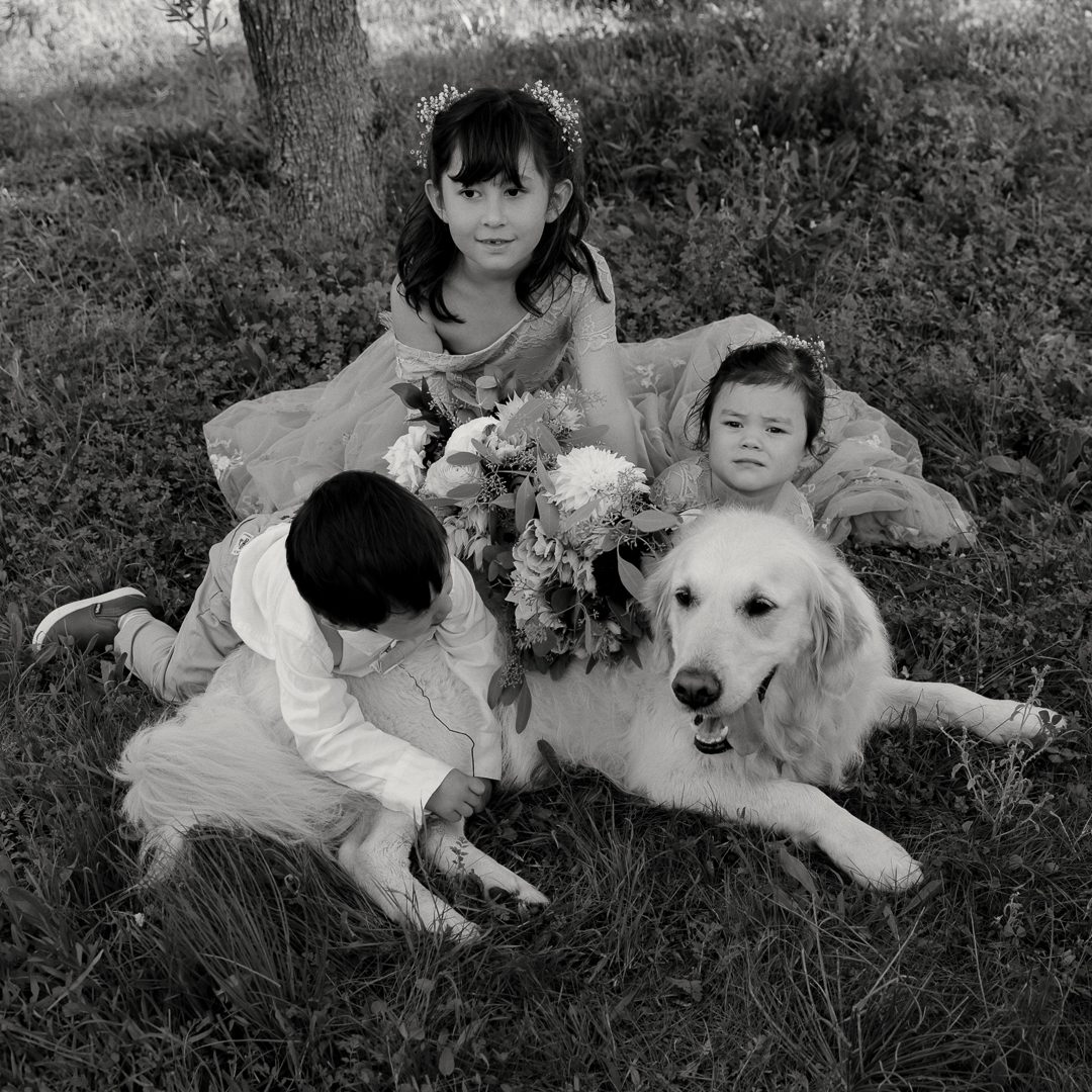 Portugal wedding photogrpahy, Algarve wedding photography, Europe wedding photography, destination wedding photographer, 