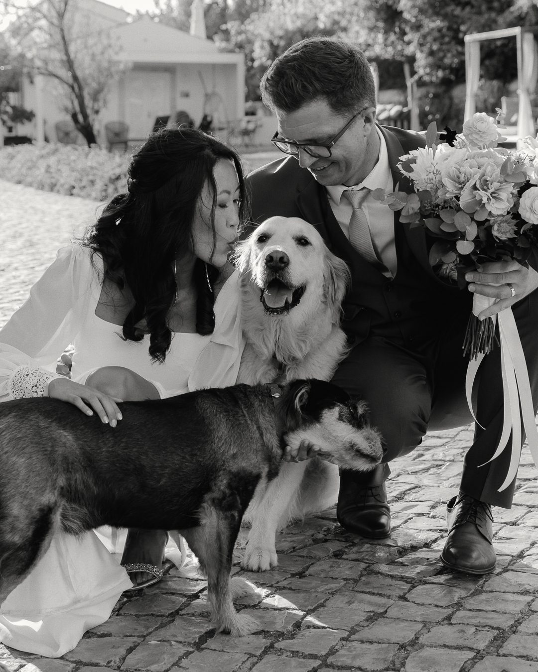 pets at weddings, Portugal wedding, wedding photogrpahy, wedding portraits, bride and groom with puppies