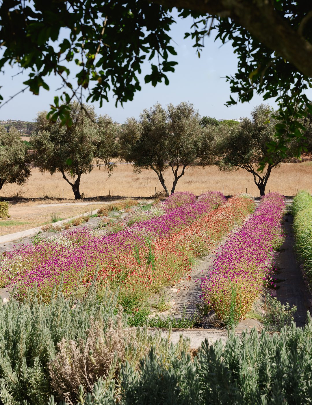 wedding weekend in Portugal, wedding photography, Portugal wedding, Algarve wedding photographer, pre wedding party, rehearsal dinner party, wedding welcome party, destination wedding, wedding photography Portugal 